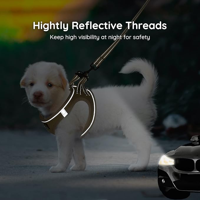 BELLA & PAL Step in Vest Harness for Small and Medium Dogs, No Pull Small Dog Harness with Leash Set, Comfortable Air Mesh Dog Vest Harness with Reflective Strip (Khaki, XXS)