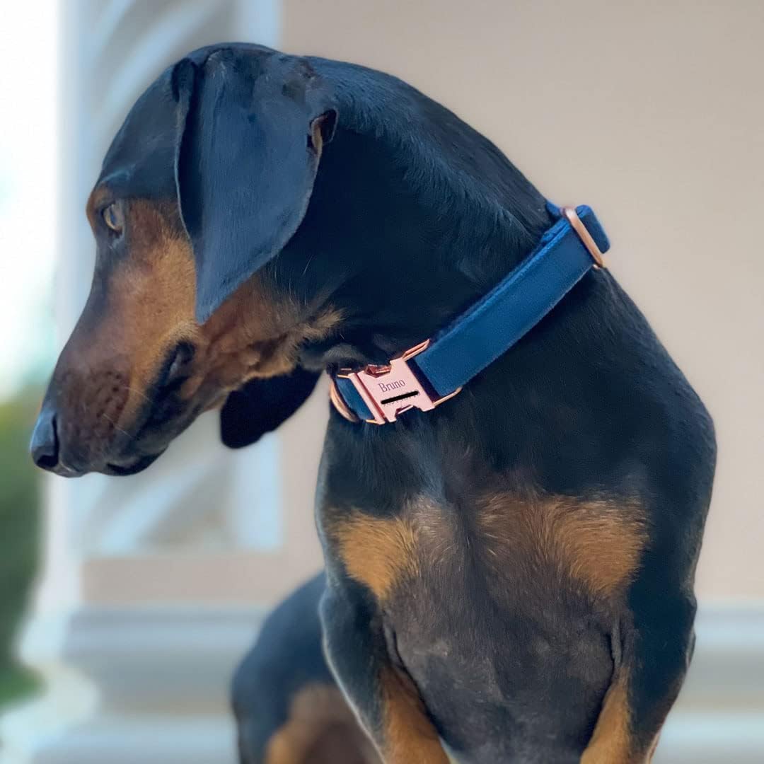 PETDURO Personalized Dog Collar Navy Blue Soft Velvet for Large Medium Small Boy Girl Dogs - Custom Collar with Name Phone Engraved on Rose Gold Metal Buckle - Add Matching Leash Set via Customize Now