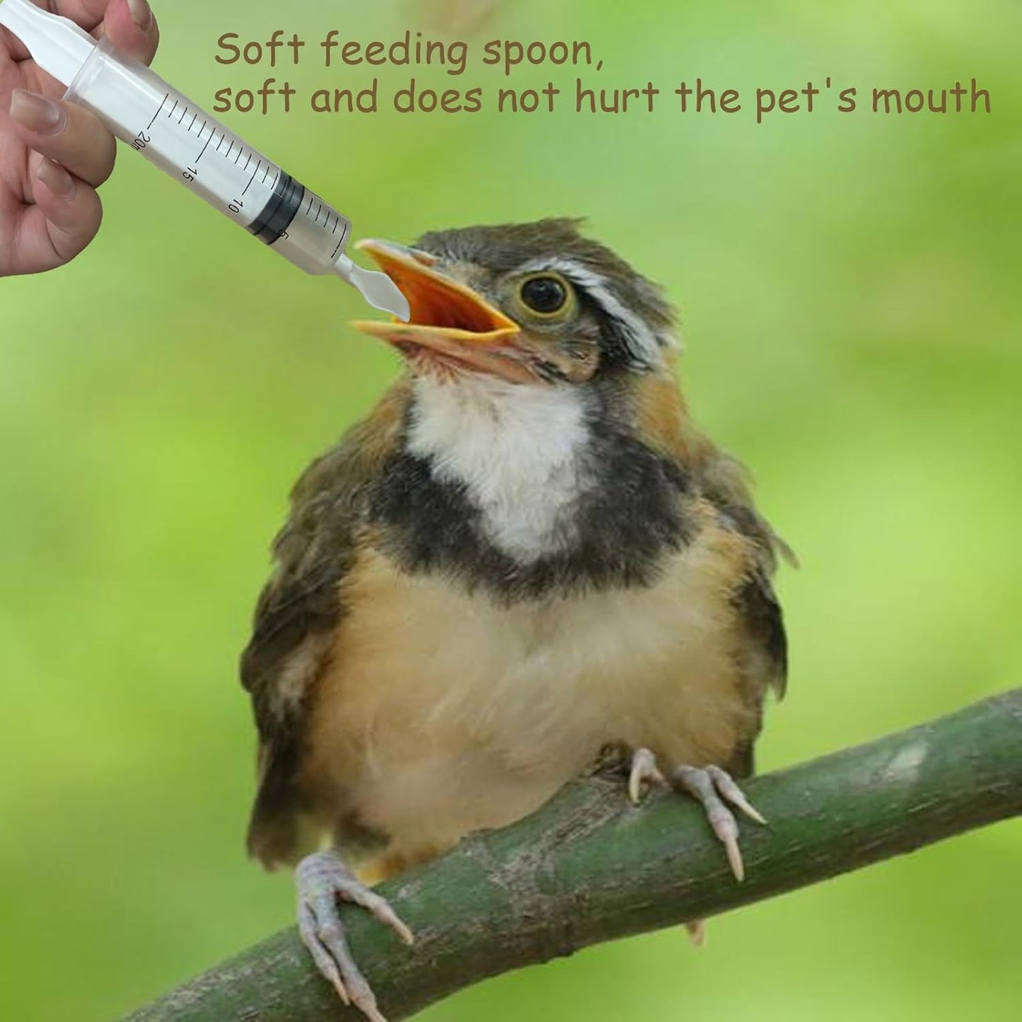 8 PCS Small Pet Feeding Syringe Sets, Baby Bird Feeding Syringe for Cats, Dogs Other Small Animal (Syringes, Milk Container, Spoons and Powder Spoons)