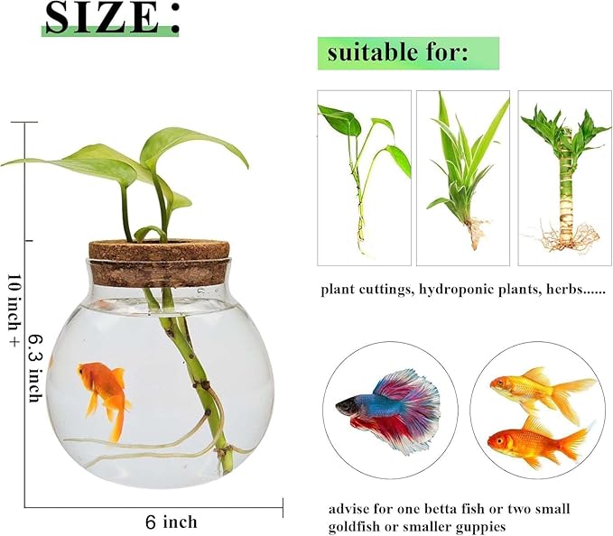 Small Fish Bowl, Cute Betta Tank, High Clear Fish Glass Bowl, Desktop Mini Aquarium Vases for Betta Fish and Hydroponic Plants, Plants Propagation Station, Home Office Table Decorations