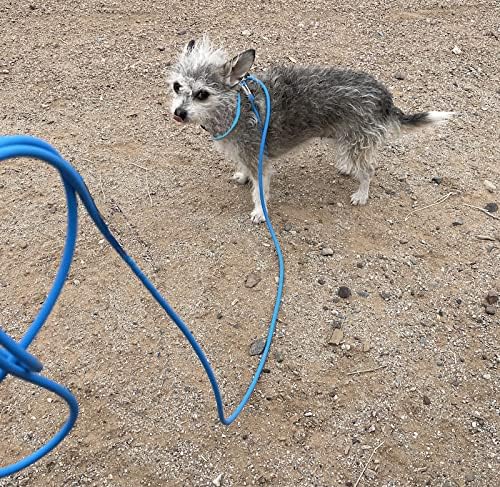 Mini Pig Harness & Leash -Adjustable- 12' in Length -Also fits Pot Bellied Pigs and Other Animals - Ferrets, Rabbits, Dogs, Cats (Blue)
