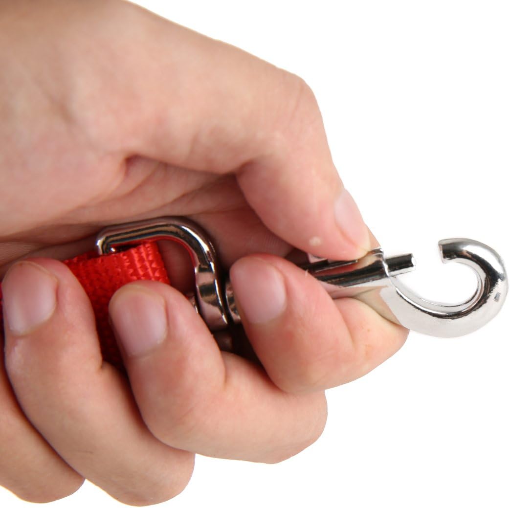 Nylon Dog Training Leash, Traction Rope, 4Ft /5 Foot /6 Feet Long, 5/8 inch 3/4 Inch 1 Inch Wide, for Small and Medium Dogs (1'' x 12 FT, Orange)