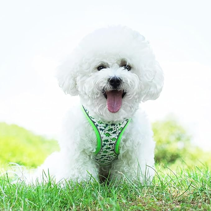 Step in Dog Harness and Leash Set, Flower Adjustable Easy Walk Puppy Harnesses, Soft Mesh Pet Vest Harness Small Size Dog Adjustable No Pull Dog Harness for Small Medium Dogs(Dinosaur1, M)