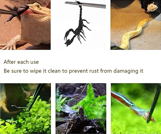 2Pcs 10.5" Reptile Stainless Steel Long Tweezers Feeding Tongs, Lizards Snake Gecko and Tarantula Supplies, Terrariums Aquarium Fish Tank Tools - 10.5" Black 2Pcs