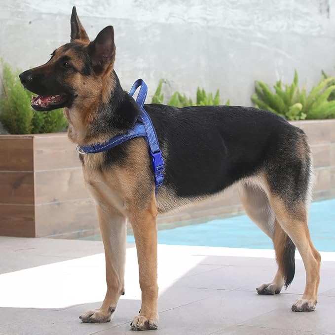 Plutus Pet No Pull Dog Harness with Breathable Mesh Padded, Adjustable Reflective Escape Proof Dog Harness, Quick Fit Dog Vest Harness for Small Medium Large Dogs(L, Navy Blue)