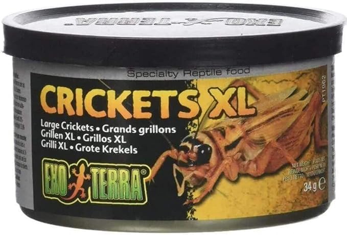 Exo Terra Specialty Reptile Food, Canned XL Crickets for Reptiles, PT1962