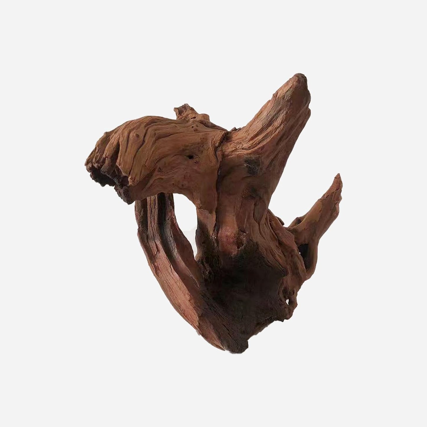 LYPHARD AQUARIUMS Natural Driftwood for Aquarium Decor, L11.81×W12.2×H9.84 Inches Large Drift Wood Decorations for Reptile Hide, Fish Tank, Optional Shapes