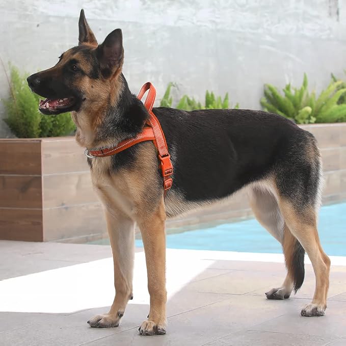 Plutus Pet No Pull Dog Harness with Breathable Mesh Padded, Adjustable Reflective Escape Proof Dog Harness, Quick Fit Dog Vest Harness for Small Medium Large Dogs(XL, Orange)