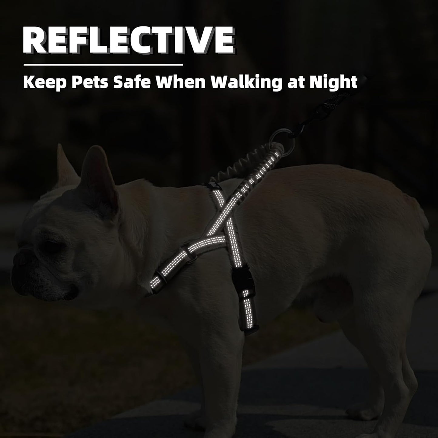 PUPTECK No Pull Dog Harness Small Sized Dog, Adjustable Reflective Pet Vest Harness with Bungee Handle, Escape Proof No Choke Harness for Small Dogs Walking Training, Beige S