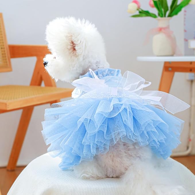 ANIAC Daisy Small Dog Dresses Female with Leash Ring,Bow Knot Girl Puppy Wedding Dress,Valentine's Cat Outfit,Fancy Pet Party Dress for Kitten Chihuahua Yorkie Pomeranian (Blue, Large)