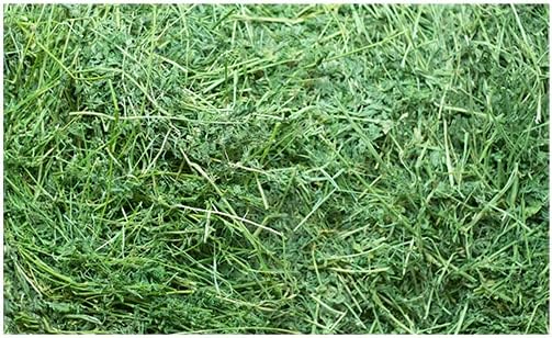 Fresh Alfalfa Hay 40Lbs by Bunny Honey - Natural Hay for Guinea Pigs, Rabbits, Hamsters, Hedgehogs, and More Small Animal Pets - Not Blended, Green Chopped & Delivered Fresh