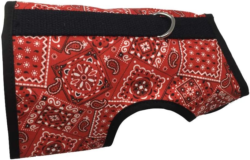 Kitty Holster Cat Harness – Secure Cat Harness for Walking, Soft Cotton Cat Accessories, Comfortable Fit, Strong Hook-and-Loop Closure, Made in USA – Red Bandana, XS