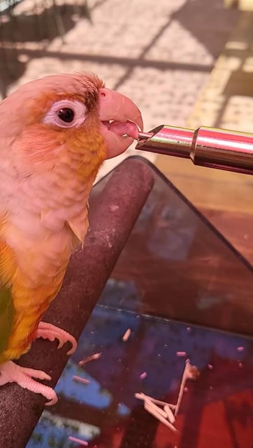 Leak-Proof Small Animal Water Bottle for Chinchillas, Birds, Hamsters, Guinea Pigs, Rabbits and Other Small Pets. (Blue, 8.12oz)