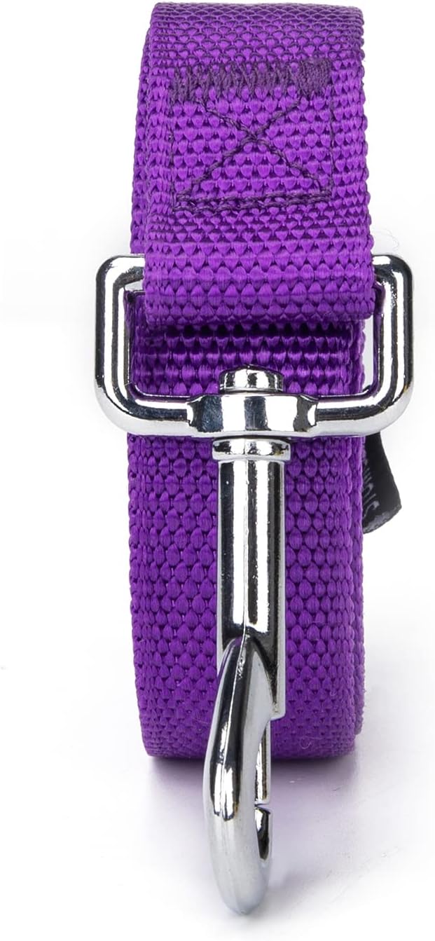 Strong Durable Nylon Dog Training Leash, 1 Inch Wide Traction Rope, 6 ft 10ft 15ft Long, for Small and Medium Dog (Purple, 15 Feet)