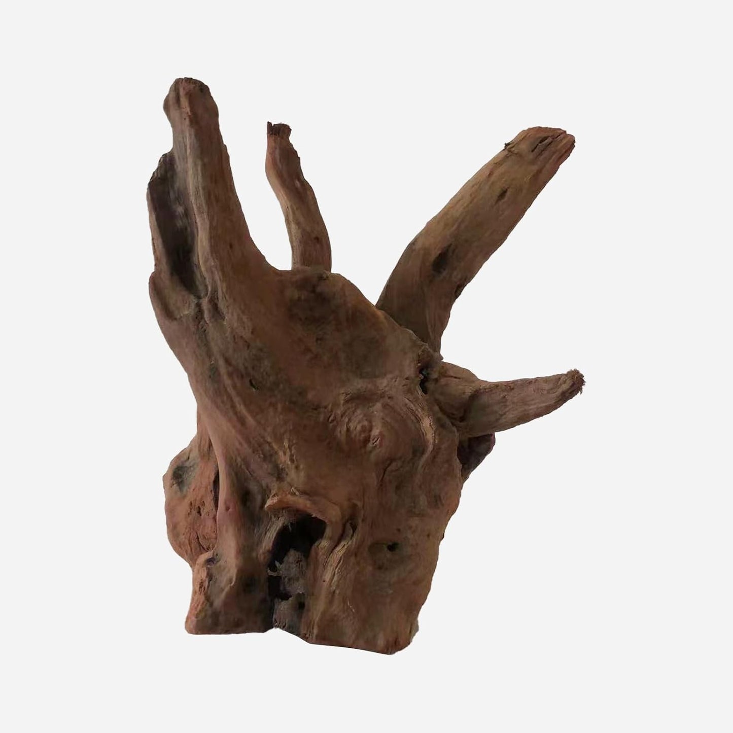 LYPHARD AQUARIUMS Natural Driftwood for Aquarium Decor, L7.87×W7.48×H8.66 Inches Large Drift Wood Decorations for Reptile Hide, Fish Tank, Optional Shapes