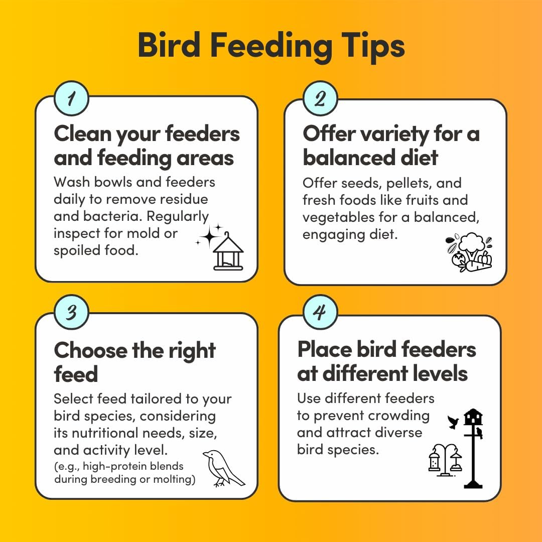 Mycelium Organic Small Parrot Bird Seed (5 LB Bag) | High-Energy Bird Food w/Premium Seeds & Grains for Skin & Feather Health | Daily Nutrition for Parrotlets, Conures & Cockatiel | Non-GMO, USA Made