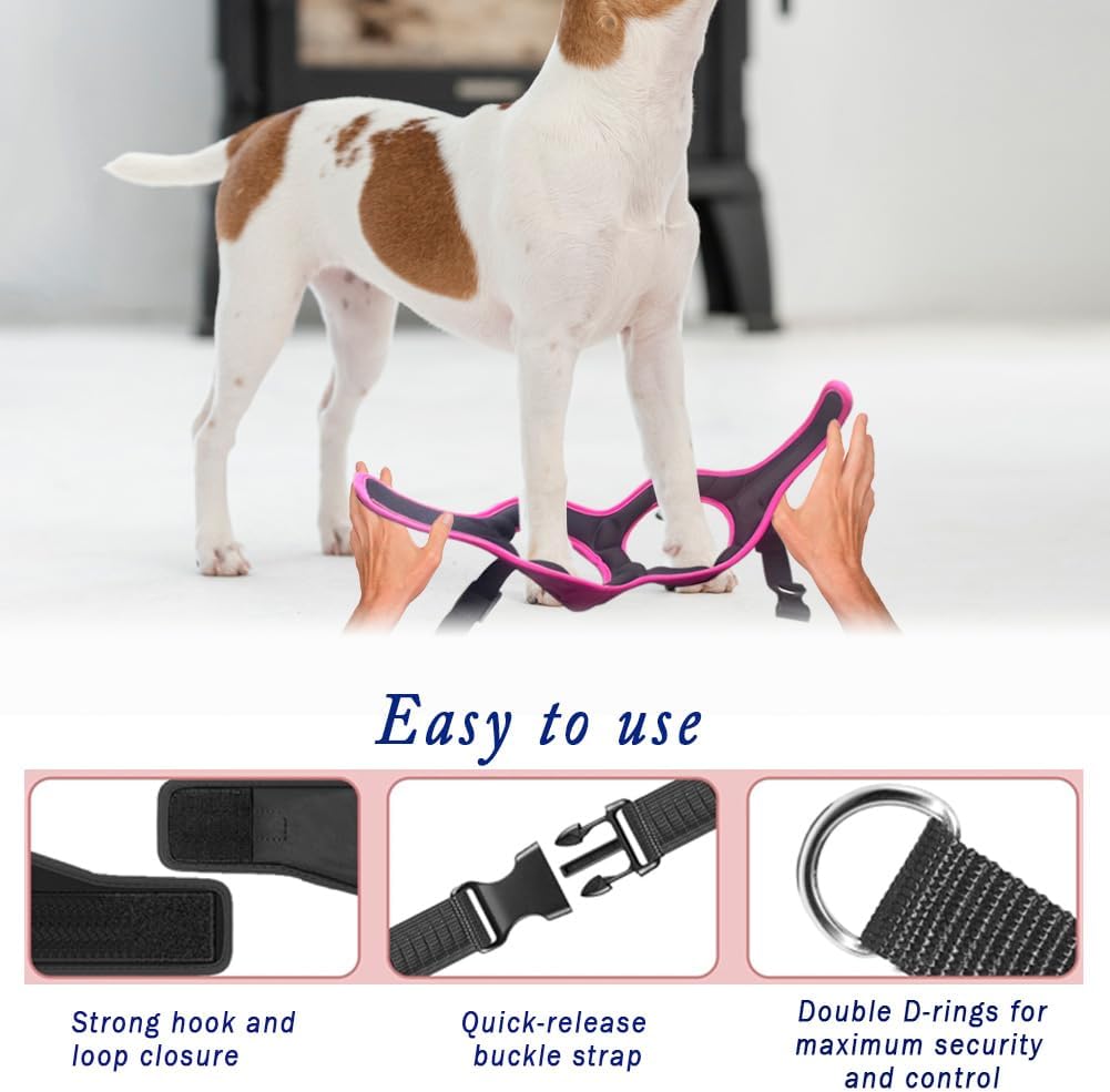 Comfort fit Step-in Dog & Puppy Harness - Comfortable All Weather Dog Vest Harness: Adjustable, Soft Padded, Easy to Put-on for Small, Medium-Sized Dogs.