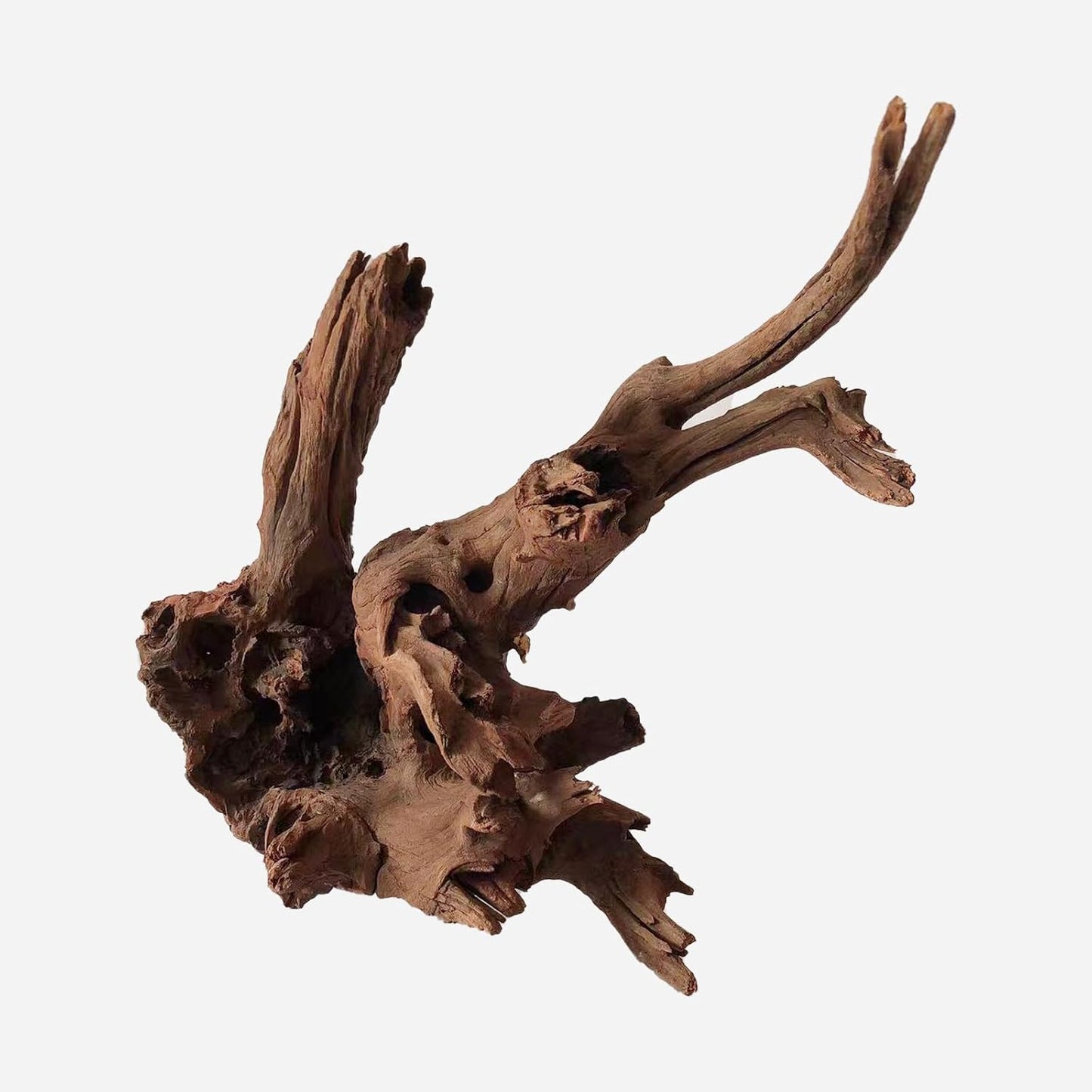 LYPHARD AQUARIUMS Natural Driftwood for Aquarium Decor, L18.9×W8.66×H9.84 Inches Large Drift Wood Decorations for Reptile Hide, Fish Tank, Optional Shapes