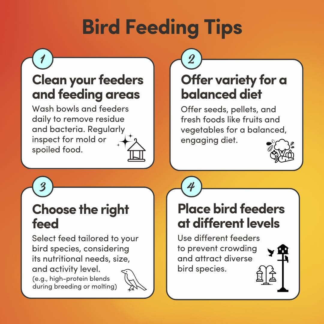 Mycelium Organic Large Parrot Plus Bird Food (5 LBS) | Premium Bird Seed for Macaws, Cockatoos & Parrots | High-Protein, Vitamin-Fortified, Skin & Feather Support | Non-GMO, USA Made, No Fillers