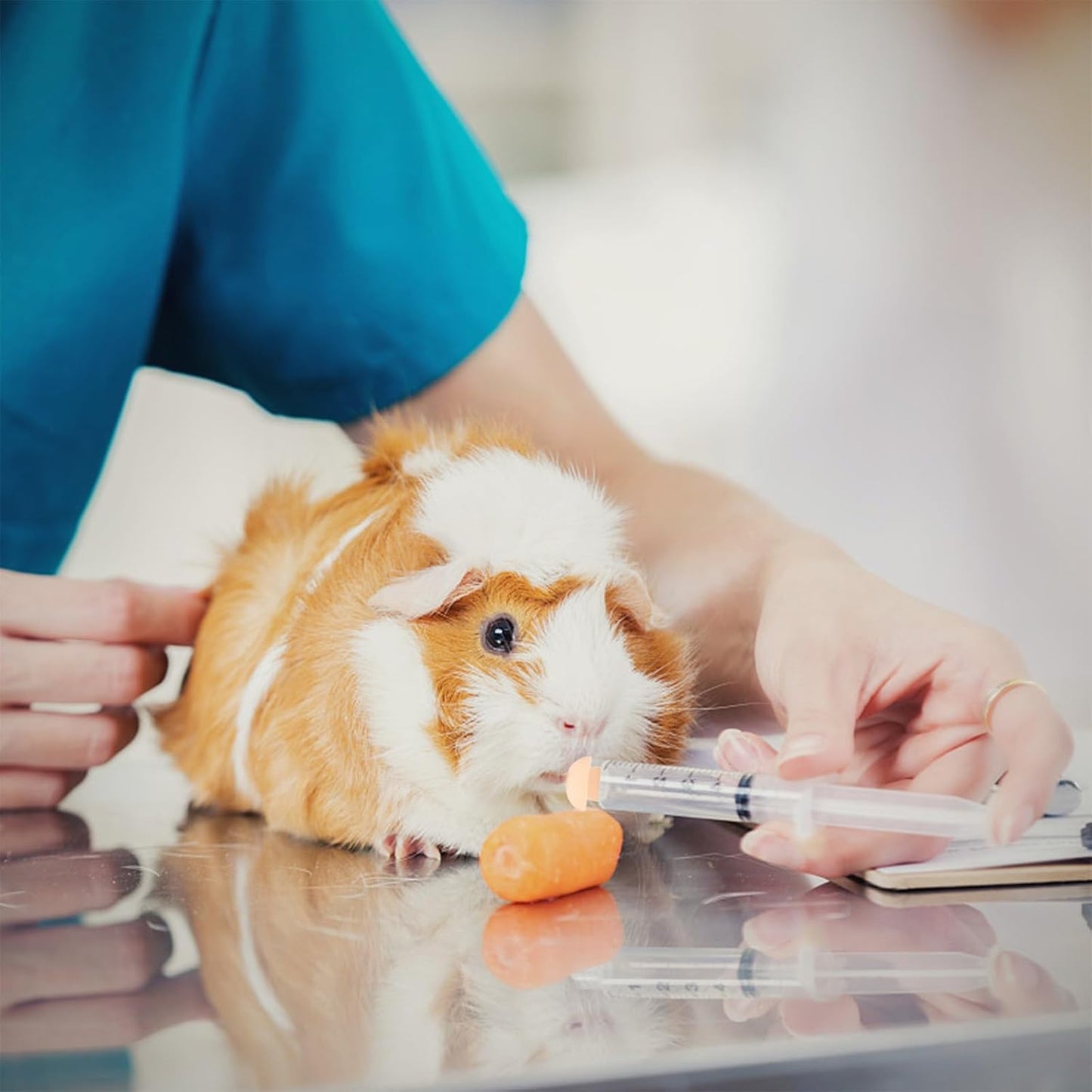 Pet Feeding Syringe with Nipple, Silicone Feeding Tools for Kitten Puppy Feeding Syringe for Newborn Cat Dog Small Animals Rabbits (4 syringe+ 1 bottle+1 brush)