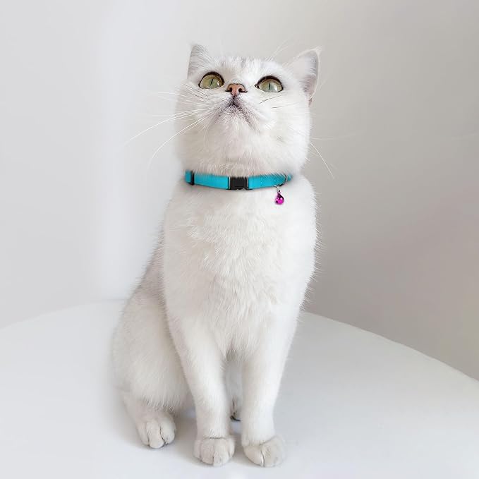 Breakaway Cat Collar Leather with Removable Bell - 13 Colors Available - Soft Adjustable Girl Boy Safety Lightweight Pet Kitten Collars Pink Brown Blue Green Red Orange Black (Pink)