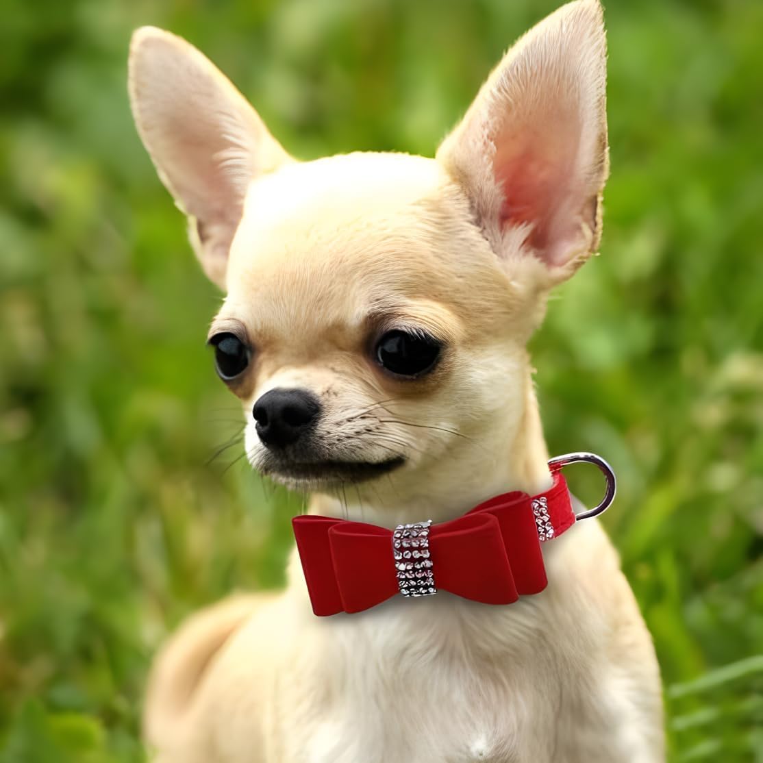 Serijoars Small Dog Collar with Rhinestone Crystal Diamond Colorful Bling Girl Puppy Cat Collars (XS, Red1)