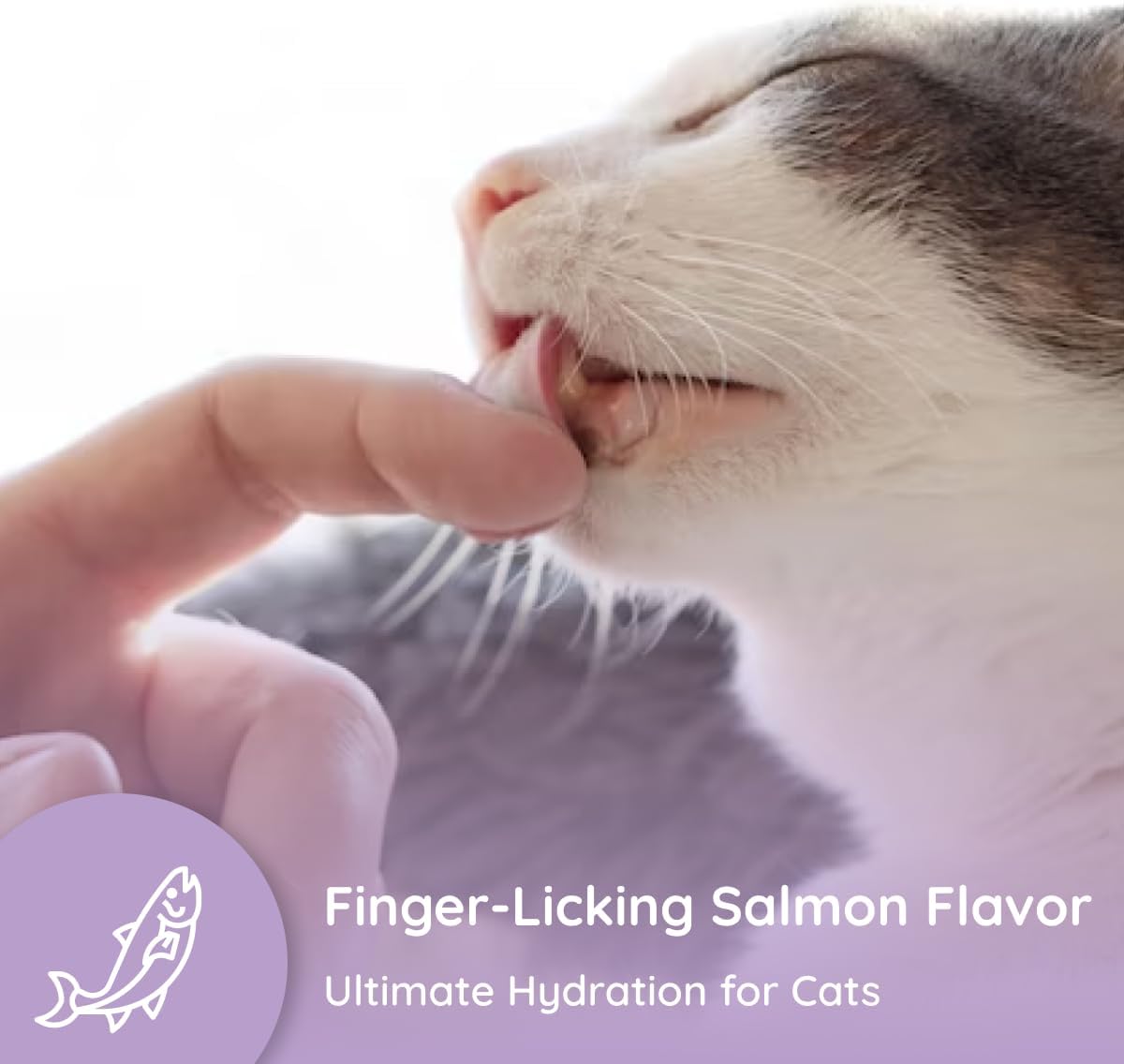 Petralyte Cat Hydration Electrolyte and Cat Joint Supplement | Hydration Support for Cats w/Glucosamine, Chondroitin, L-Glutamine, Taurine, Lysine & Prebiotics | for Salmon Lovers | 16 Packets