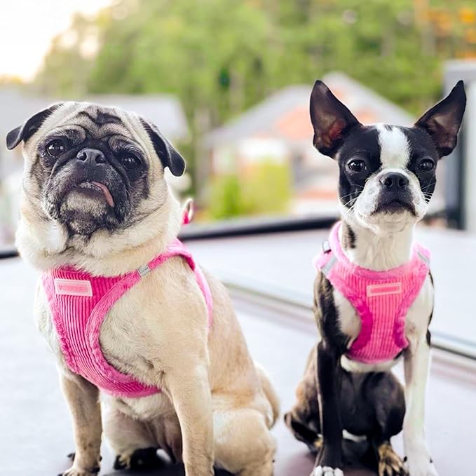 Voyager Step-in Plush Dog Harness – Soft Plush, Step in Vest Harness for Small and Medium Dogs by Best Pet Supplies - Harness (Fuchsia Corduroy), S (Chest: 14.5-16"), 206T-FU-S