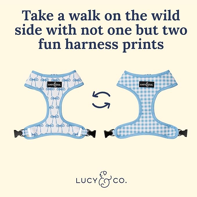 Lucy & Co. Cute Reversible Dog Harness Walking Halter - Best Designer Pet Harnesses for XS - XL Dogs - Padded Adjustable Vest for Easy Walking - X Large - White with Blue Bows