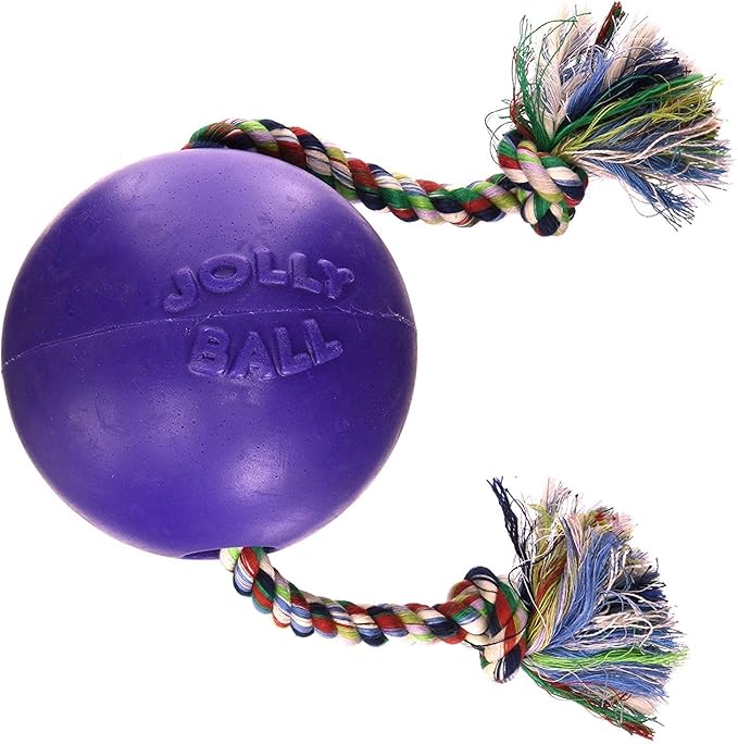 Jolly Pets Romp-n-Roll Rope and Ball Dog Toy, 4.5 Inches/Small, Purple, 4.5-Inch Romp-n-Roll, Purple