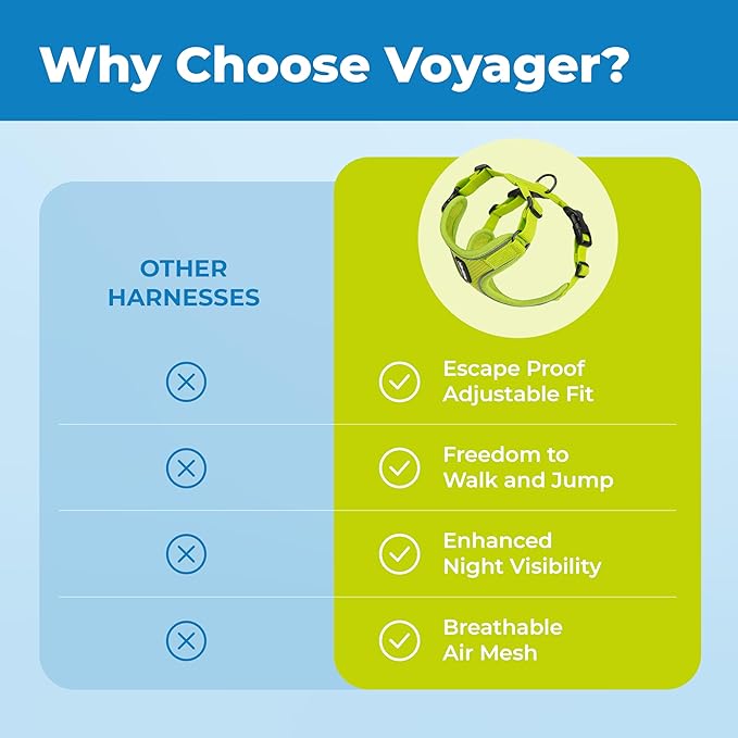 Best Pet Supplies Voyager Escape Proof Cat Harness and Leash Set with Reflective Stitching, Neoprene Handle 5ft - Supports Small, Medium and Large Cats, Kittens - Lime, M (Chest: 16.5-19.5")