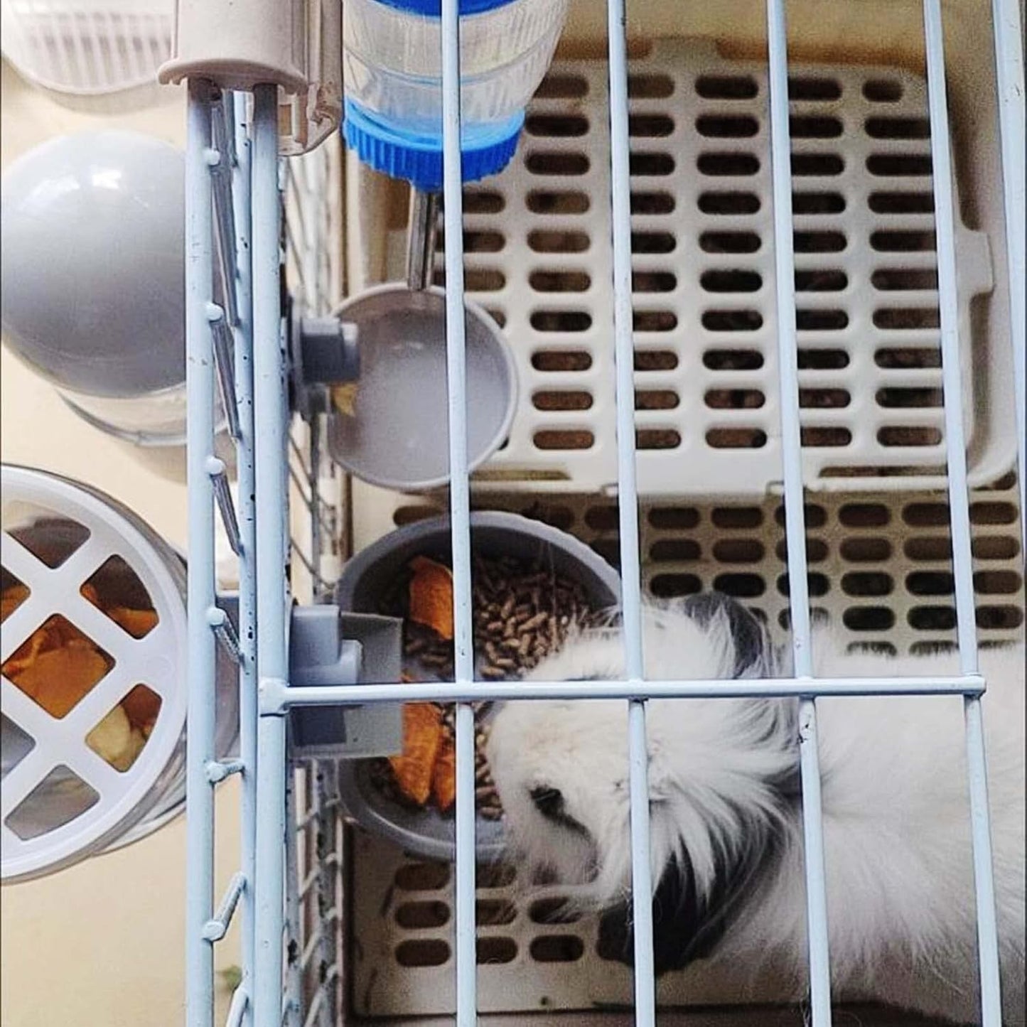 Tfwadmx Rabbit Hanging Auto Food Water Dispenser Pet Cage Suspended Food Water Bowl Chinchilla Gravity Detachable Feeder Waterer Set for Puppy Kitten Bunny Ferrets Guinea Pig (Gray)