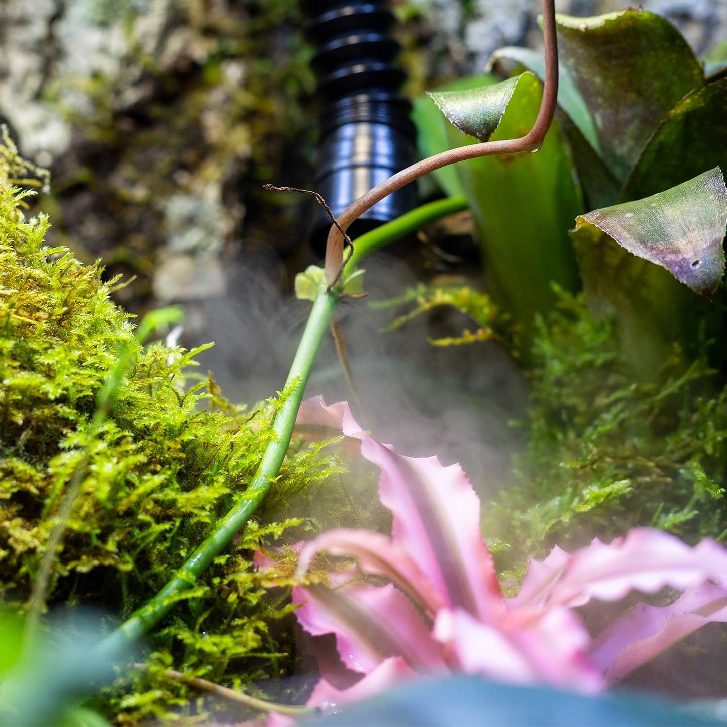 REPTI ZOO 4L Reptile Fogger Mister Tank, Terrariums Digital Tank Timing Humidifier Smart Touch Screen Adjustable Fogger for Reptiles Amphibians Herps