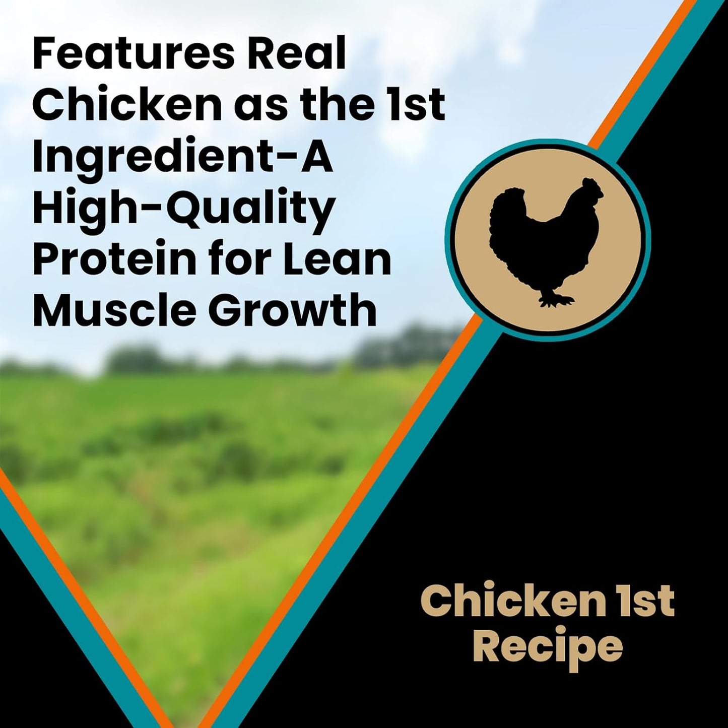 VICTOR Classic - Hi-Pro Plus Large Breed Puppy, 30-lb