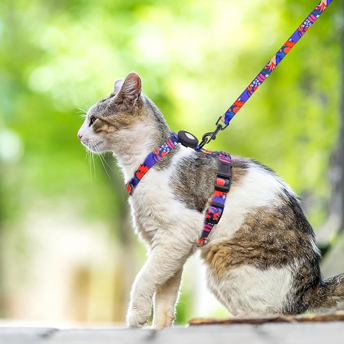 SCENEREAL Cat Harness and Leash Set Escape Proof with Airtag Holder, Reflective Pet Harnesses for Walking, Adjustable Kitty Vest Soft Harness Outdoor Indoor, Cute Travel Boys Girls Small Large Cats