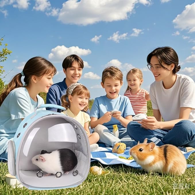 Portable Guinea Pig Backpack with Small Bag Harness and Leash Set, Space Capsule Bubble Pet Carrier Cage Travel for Rabbit, Bearded Dragon, Sugar Glider (Blue, Backpack)
