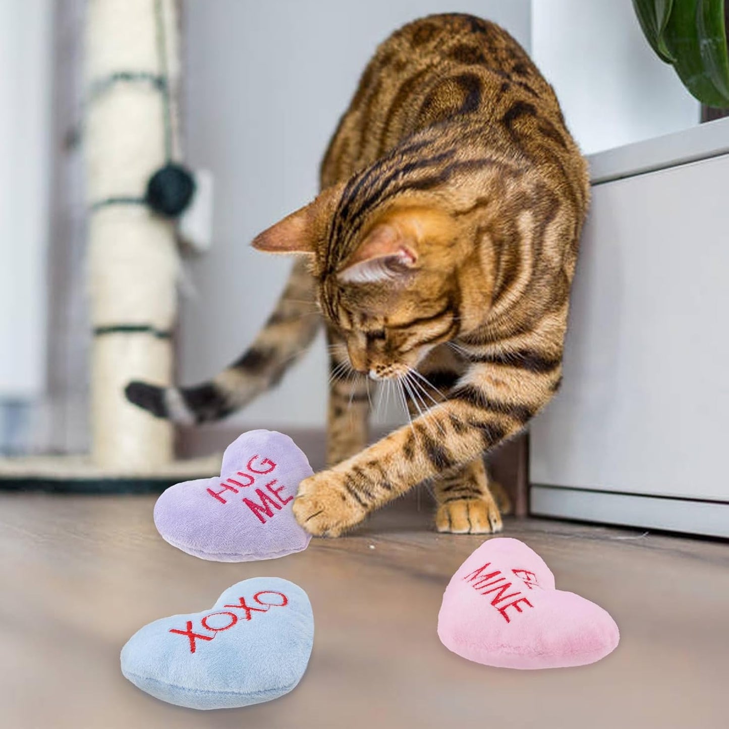 6pcs Valentine's Day Heart Catnip Toy,Valentines Indoor Heart Shaped Cat Toy Plush Interactive Chew Bite Toys for Cat Kitten Indoor Festive Holiday Cat Lover Gift