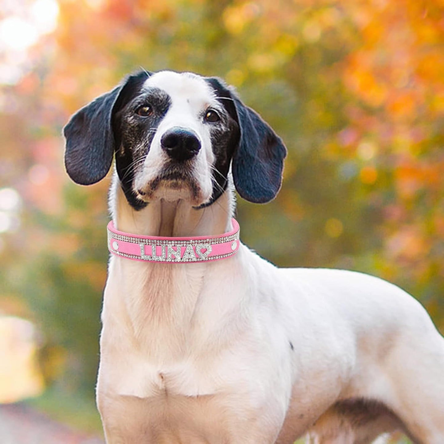 Crystal Dog Collar Personalized with Bling Name,Custom Sparkling Rhinestones Dog Collar for Small Medium Large Dog (XS,Pink)