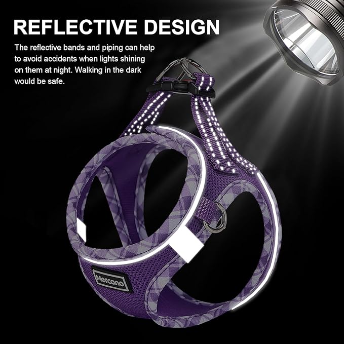 Mercano Soft Mesh Dog Harness and Leash Set, No-Chock Step-in Reflective Breathable Lightweight Easy Walk Vest Harnesses with Safety Buckle for Small Dogs, Cats (M, Purple)