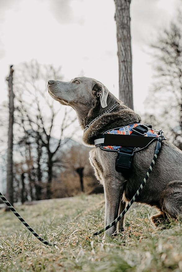 Non Pull Dog Harness with Patch Panels and Handle, Adjustable, Reflective, No Choke, Heavy Duty Easy On Service Dog Vest Harnesses for Medium Large Small Sized Dogs - Light Blue, S