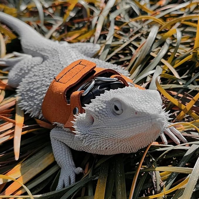 3PC Bearded Dragon Harness Leash Set Adjustable Soft Suede Leather Vest Harness with Traction Rope Outdoor Walking Escape-Proof for Reptile Lizard Squirrel Ferret (Brown)