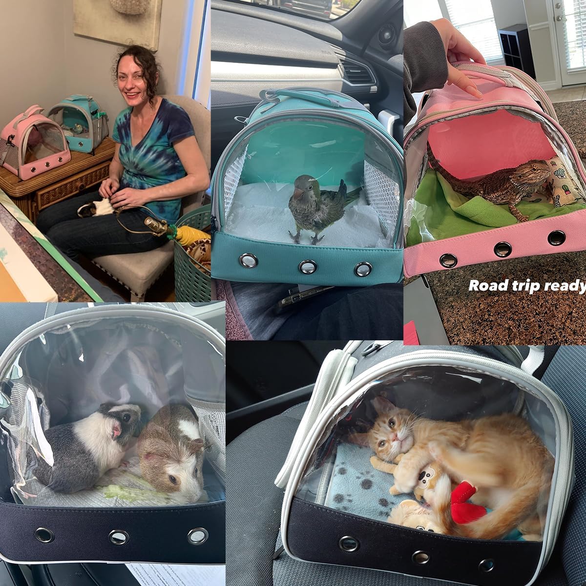 Guinea Pig Carrier Backpack, Clear Bubble Window Backpack for Guinea Pig, Bunny Rat Bird (Orange, Carrier)