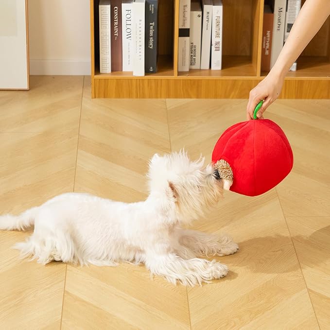 Hollypet Squeaky Dog Toy, Interactive Plush Hide and Seek Dog Toys for Small Medium Sized Dogs and Non-Aggressive Chewers, Puppy Teeth Clean Chew Toys, Hedgehog