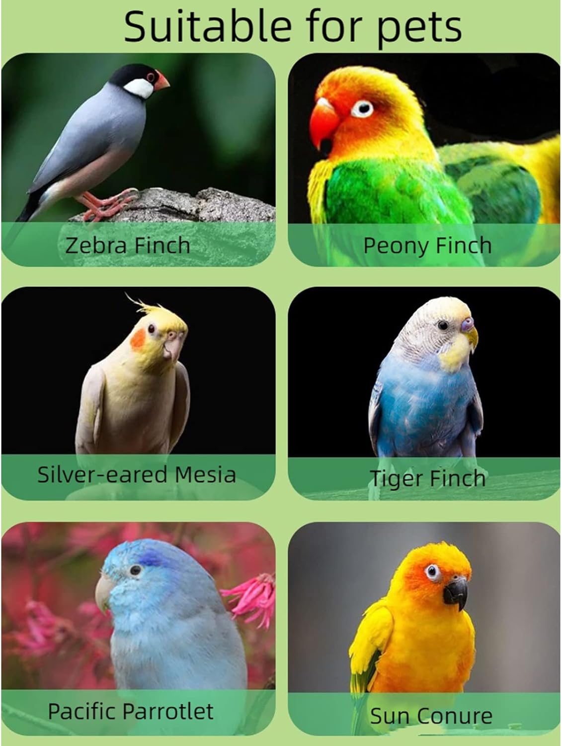 Bird Feeder Ceramic Anti-Spill Food Bowl for Parrot Cockatiels Parakeets Conures Zebra Finch Hamsters Guinea Pigs Rabbits Gerbil- Small Pet Supplies (Pink)