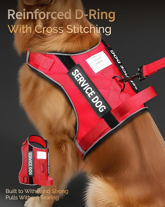 FAYOGOO Service Dog Vest for Large Dogs - Air Mesh Breathble Emotional Support Animal Vest with DIY Removable Patches - Dog Harness and Leash Set Adjustable Neck and Chest(Red,XXL)