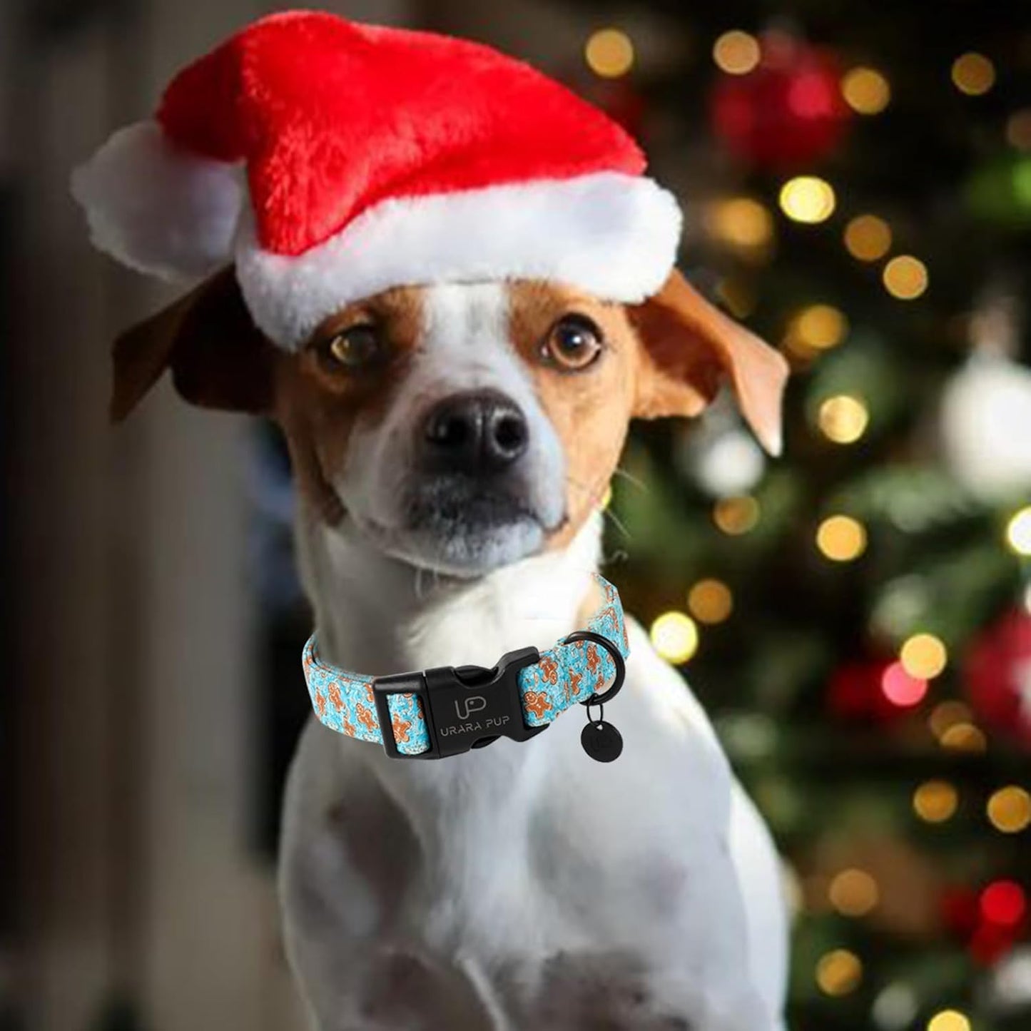 Christmas Dog Collar,Adjustable Gingerbread Pet Collar,Chriatmas Puppy Collars for Small Medium Large Dogs, XL,Neck 16-26in