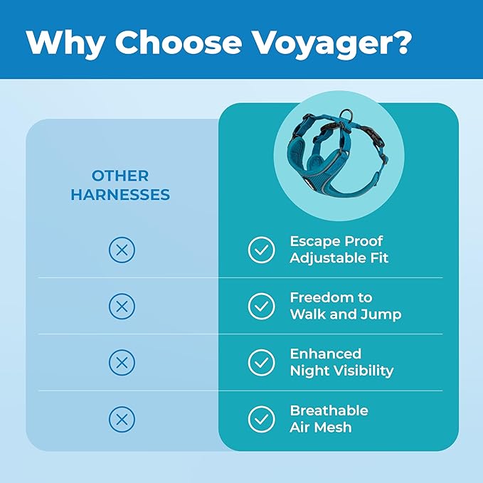 Voyager Escape Proof Cat Harness and Leash Set with Reflective Stitching, Neoprene Handle 5ft - Supports Small, Medium and Large Cats, Kittens for Walking by Best Pet Supplies - Turquoise, S