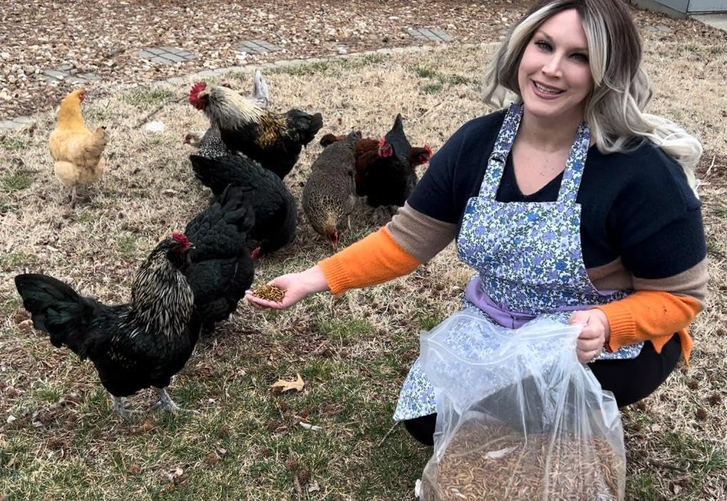 Bulk Dried Mealworms 5Lb Bag -Premium Non-GMO Dried Mealworms for Chicken, Nutritious High Protein - 100% Natural Mealworms for Laying Hens, Birds, Ducks, Chicken Feed