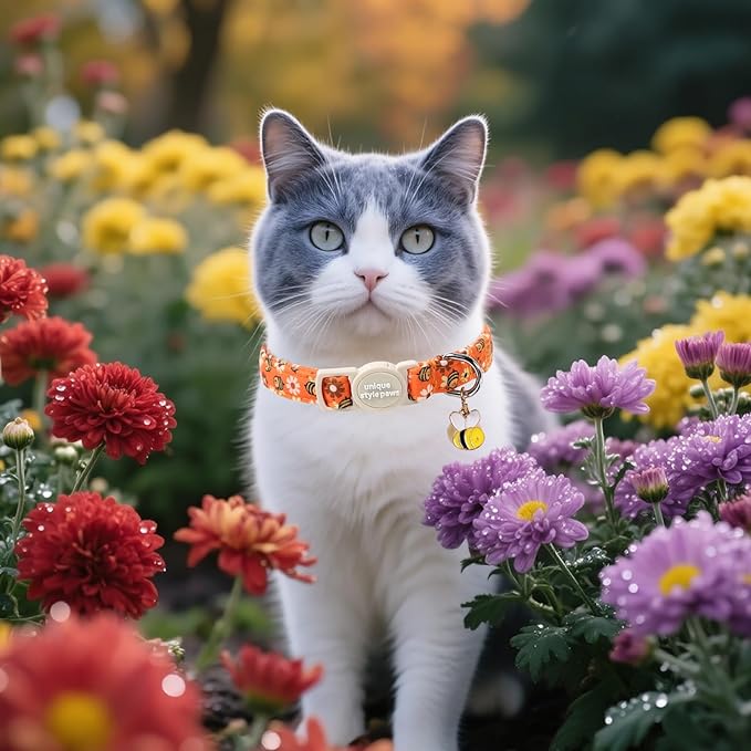 Unique style paws 2 Pack Autumn Halloween Kitten Collar Breakaway with Bell&Pendant, Adjustable Safety Bee Daisy Maple Leaf Cat Cotton Collar for Girl Boy Cat and Small Pet