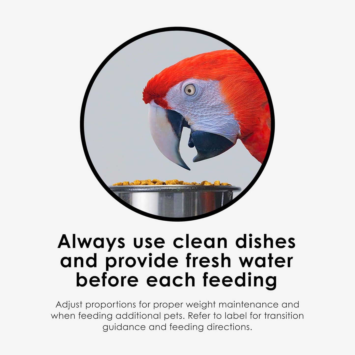 Kaytee Nutri Soft Pet Macaw & Cockatoo Bird Food, 3 Pound